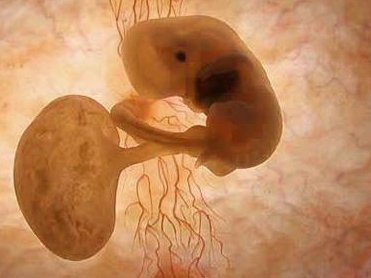 高龄冻胚移植可以成功吗？做到这些事情成功率大大增加！