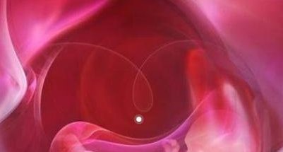 试管移植前内膜厚度多少成功率高？