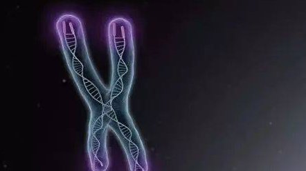 移植囊胚大忌竟然是长期卧床保胎？