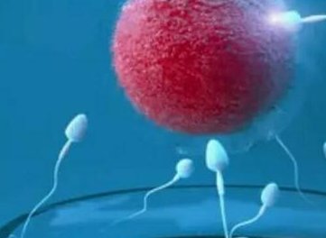 试管费用是一次性付清吗？