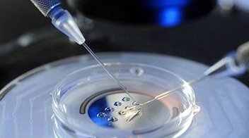 33岁amh0.19做试管婴儿成功率多少？要看基础卵泡数量