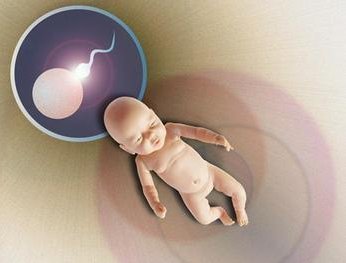 房事后吃什么可以不怀孕？避孕药吃多了会导致不孕不育吗？为什么在进行试管婴儿治疗时需要服用避孕药？