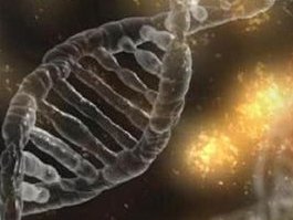 什么是试管婴儿囊胚培养？试管婴儿囊胚培养的4大优势